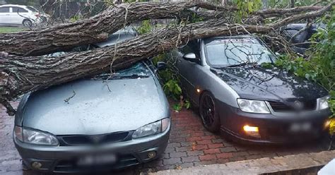 Kenderaan Dihempap Pokok Tumbang Di Parkir Pasar Raya Harian Metro