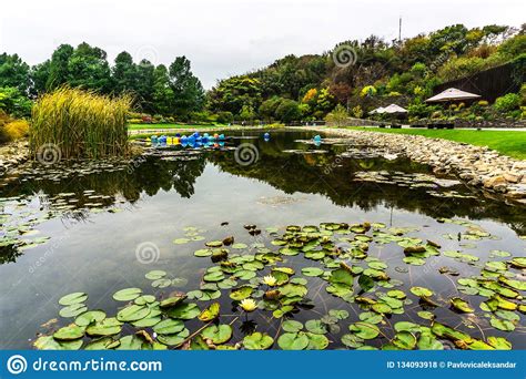 China Shanghai Botanical Garden 16 Stock Photo - Image of east, chinese ...