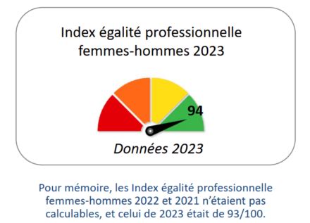 Index Egalité Professionnelle Femmes Hommes 2024 Adelis