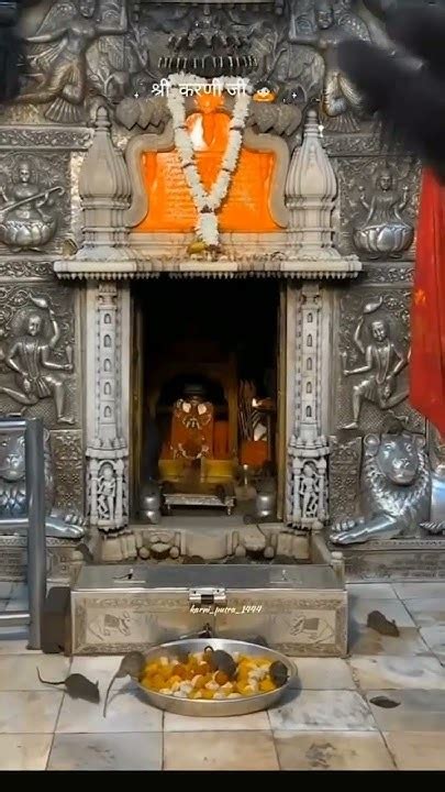 करनी माता देशनोक स्टेटस म्यूजिक भजन कथा वीडियो करणी माता टेंपल 🙏🚩🦅🦅🙏🙏🚩🚩🚩🙏 म्यूजिक 🚩🙏🦅 Youtube