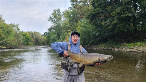 Milwaukee King Salmon On The Fly Youtube