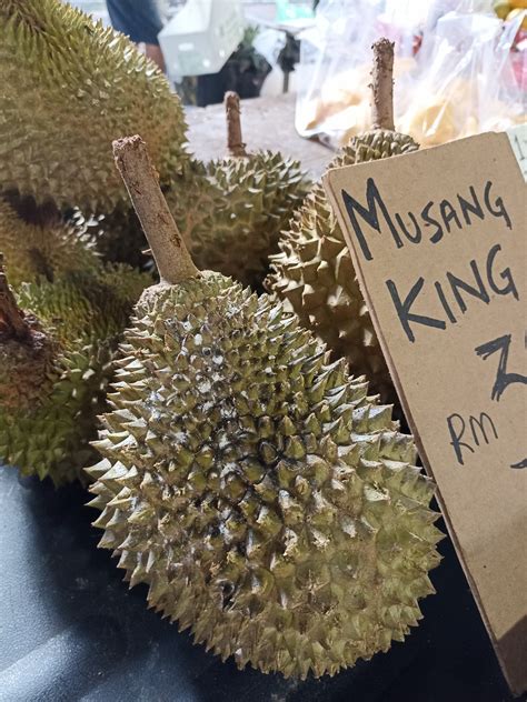 Durian Musang King