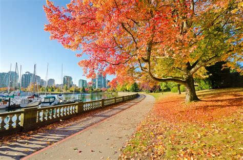 25 Best Things To Do In Vancouver Bc Canada The Crazy Tourist