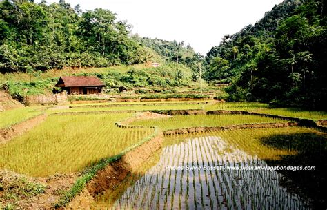 Circuits Sur Mesure Au Vietnam Avec Guide Priv Francophone Vietnam