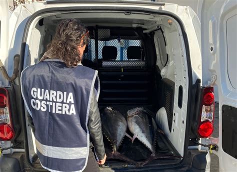 Pesca Illegale Dalla Guardia Costiera Di Vibo Marina Sanzioni E Sequestri