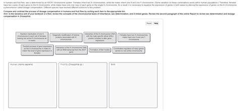 In Humans And Fruit Flies Sex Is Determined By An Chegg