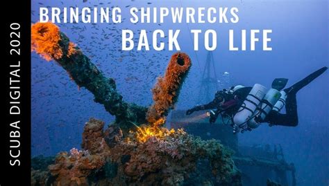 Bringing Shipwrecks Back To Life