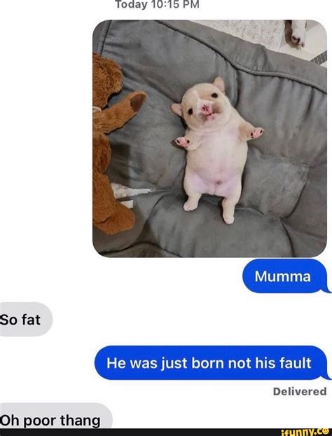 Today Pm So Fat He Was Just Born Not His Fault Delivered Oh Poor Thang