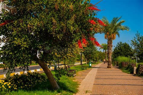 Antalya Turkey Pedestrian Road And Trees In Ataturk Park In Antalya