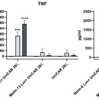 Cytokine Release From UniCAR T Cells Upon Engaging With Nalm 6 Luc