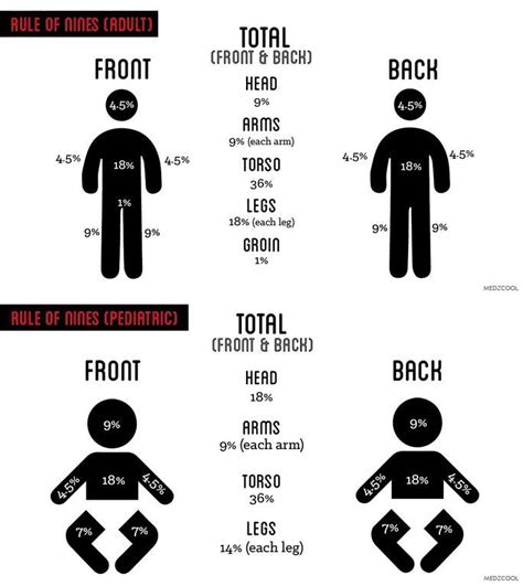 Rule Of 9 Burns Burns Nursing Rule Of Nines Emt Study Medical
