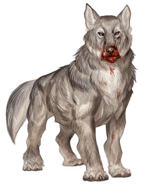 Dire Wolf Species In Dandd 5e Campaign Backdrop World Anvil