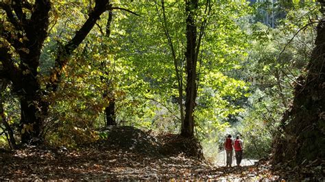 Senderismo B Sico Ruta De La Casta A Valleseco Atenci N Cambio De