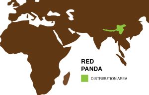 Red Panda Habitat Map