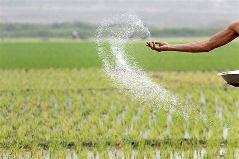 Agri Department Withdraws Guidelines For Conducting Trials On New