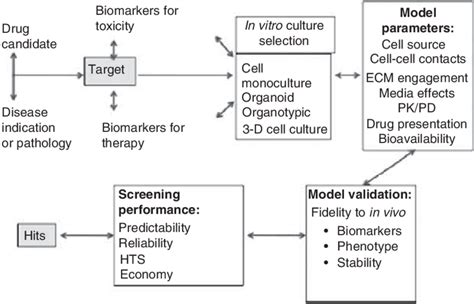 In Vitro Strategy Used For Prediction Of In Vivo Toxicity Under Download Scientific Diagram