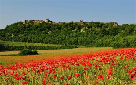 Lonato del Garda visita alla Rocca e alla casa museo del Podestà della