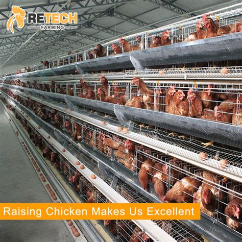 A Type Egg Laying Hens Chicken Cage Poultry Farm Equipment China Egg