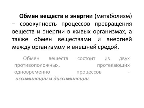 Энергетические затраты и энергетическая ценность пищи - online presentation