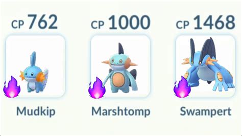 Pokemon Marshtomp Evolution