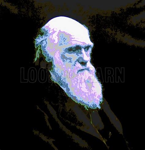 posterised portrait  charles darwin stock image   learn