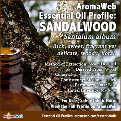 Sandalwood Essential Oil Uses And Benefits Aromaweb