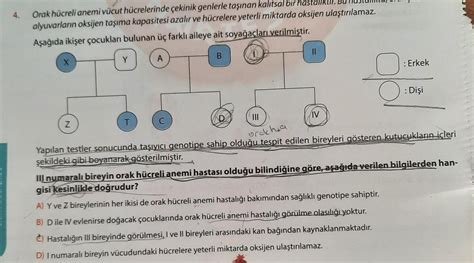 Acill Cevap Nar Test Fen Bilimleri Eodev