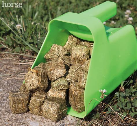 Horse Eating Hay Cubes