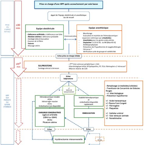 Algorithme De Prise En Charge Dune H Morragie Du Post Partum Apr S