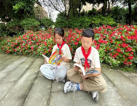 成都市双流区棠湖小学：书香点缀流年，灵魂充溢芬芳 知乎