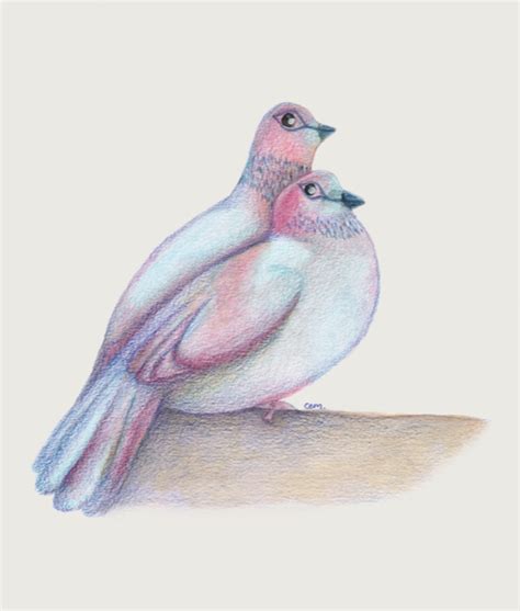 Artist Spotlight Claire Morrison Mindshare