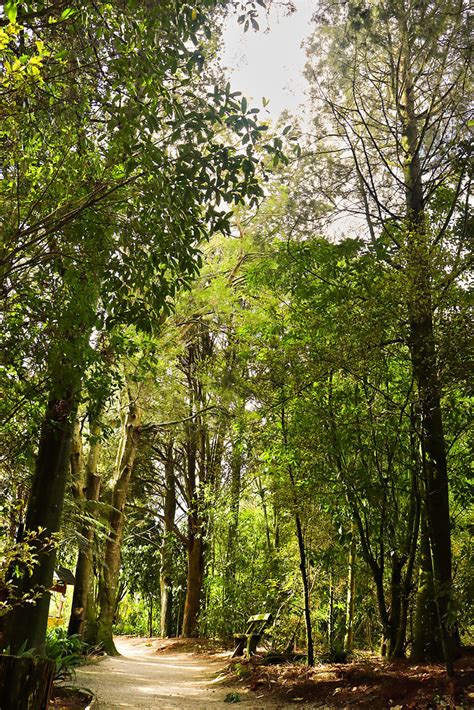 gallery otorohangakiwihouse