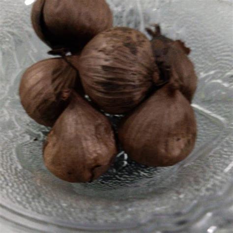 Jual Black Garlic Tunggal Bawang Hitam Tunggal Shopee Indonesia