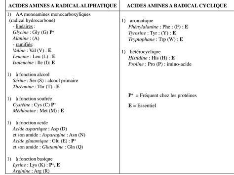 Solution Tout Savoir Sur Les Acides Amin S Peptides Et Proteines