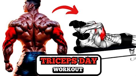 Week Day Build Massive Triceps For Stronger Arms Workout Youtube