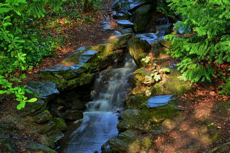 Creek, park, water, cascade, long exposure - free image from needpix.com