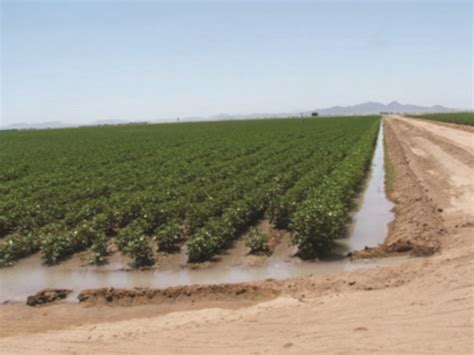 Surface Irrigation Systems | Oklahoma State University