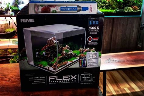 Fluval Flex Review Best Gallon Fish Tank