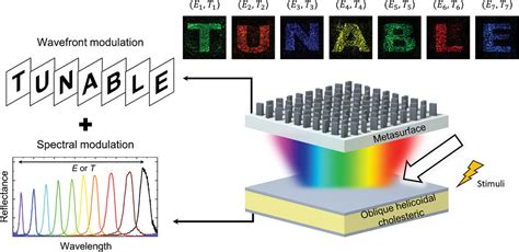 Dynamic Hyperspectral Holography Enabled By Inversedesigned