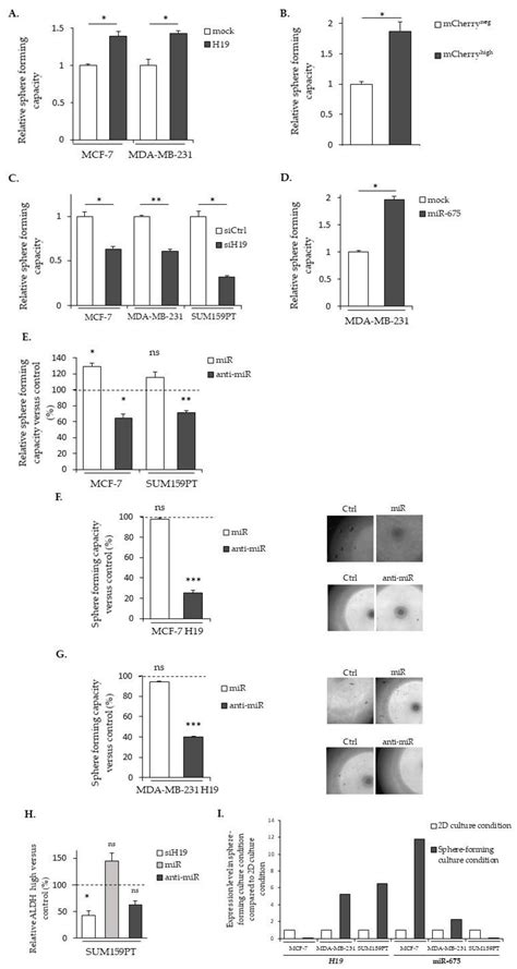 Cancers Free Full Text Enhancement Of Breast Cancer Cell