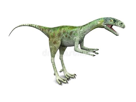 Dinosaur Compsognathus Stock Illustration Illustration Of Compsognathus 20904342