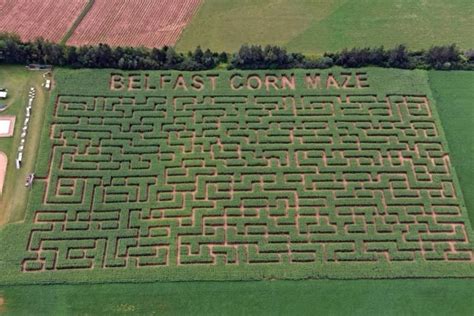 Peis Amazing Corn Mazes And Where To Find Them Cbc News Corn Maze