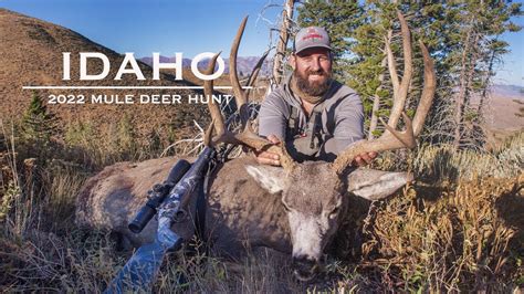 Idaho Mule Deer Hunt Youtube