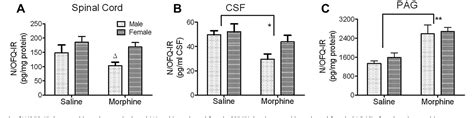 Figure 2 From Sex Differences In The Nociceptin Orphanin FQ System In