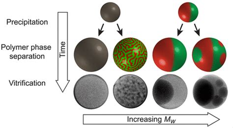 Emerging Discoveries In Polymer Science And Soft Matter