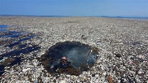 16 Photos Alarmantes Où La Pollution Plastique A Envahi Nos Mers Et Océans