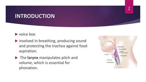 Laryngeal Trauma Ppt