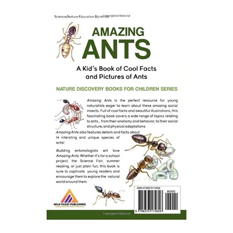 Buy Amazing Ants A Kids Book Of Cool Facts And Pictures Of Ants