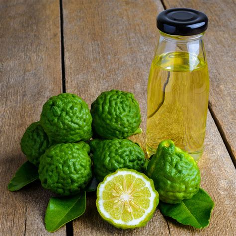 Semena Bergamot Citrus Bergamia Cena €3 50