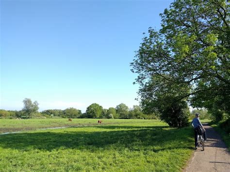 Grantchester Meadows | Capturing Cambridge